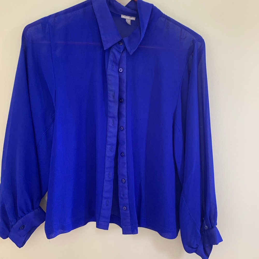 Sheer Blouse